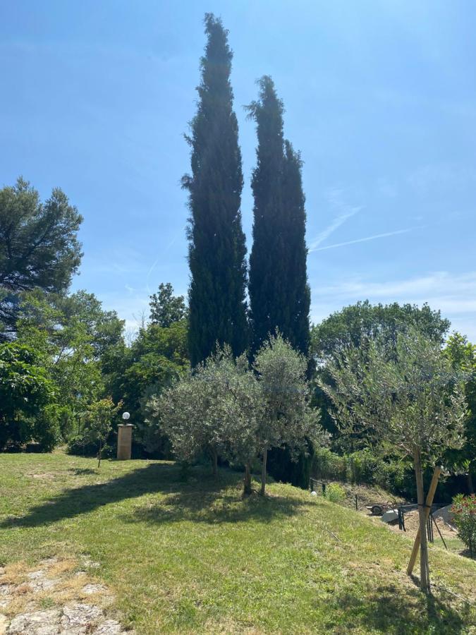 Les Oliviers Villa Vaugines Dış mekan fotoğraf